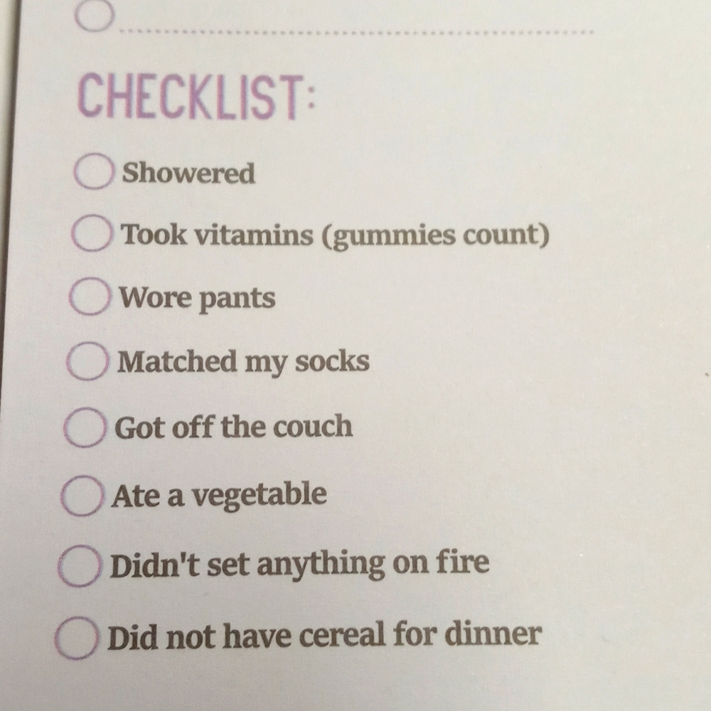 Funny Adulting To Do List Purple and Pink Office Planner with Spiral Binding - Picture 6 of 7